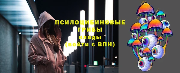молекула духа Лихославль