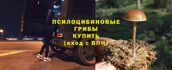 молекула духа Лихославль